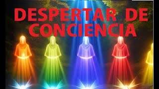 Que es el Despertar de conciencia conexión espiritual [upl. by Buford]