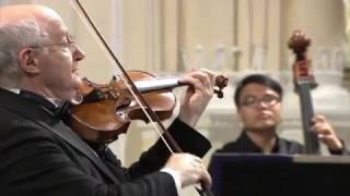 Antonio Vivaldi – Violin Concerto in gminor RV 317 [upl. by Ingra679]