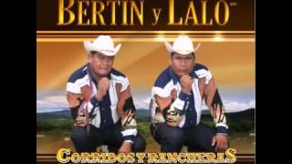 BERTIN Y LALO LA GALLINA [upl. by Grunberg916]