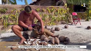 Le Coprah fait le lien entre la culture et la vaniculture [upl. by Kei]