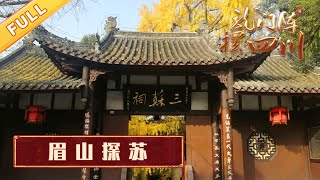 眉山探苏：探访苏轼故乡眉山的三苏祠，传闻中的苏小妹是否真有其人？【龙门阵摆四川】 [upl. by Ynnep]