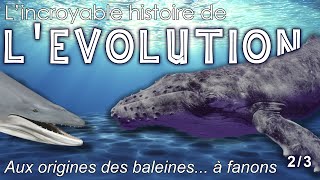 Aux origines des baleines à fanons  23  Paléontologie  Simplex Paléo Feat Olivier Lambert [upl. by Intruoc]