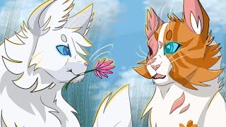 Brightheart X Cloudtail [upl. by Yramesor440]