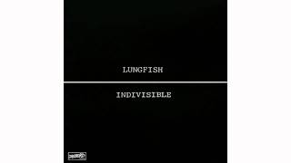 Lungfish  Indivisible [upl. by Yrtnahc]