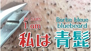 青髭抜き 私は青髭 je suis Barbe bleue i am bluebeard [upl. by Ymmit568]