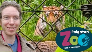 A Grand Day Out at Paignton Zoo 2024 [upl. by Elohcin]