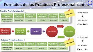 Como funcionan las Practicas Profesionalizantes [upl. by Mellins]