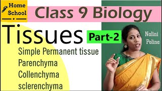 Tissues class 9 Biology Part2 [upl. by Nauqas]