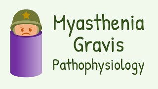 Autoimmune disorders Myasthenia Gravis [upl. by Ahsietal]