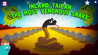 Inland Taipan  The Most Venomous Snake in the World  Most Deadliest Snake  The Dr Binocs Show [upl. by Champaigne]