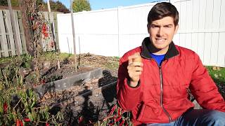 Planting Potatoes The Irish Way Is AMAZING [upl. by Sylram]