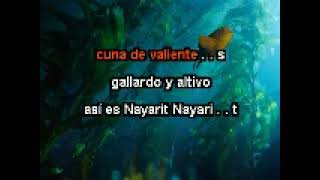 El Corrido De Nayarit korita Karaoke [upl. by Amaris]