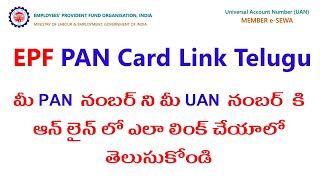 EPF PAN Card Linking Process Telugu [upl. by Ambrosio]