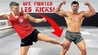 Leg Kicked by Pro UFC Fighter Stephen Wonderboy Thompson CRAZY PAIN  Bodybuilder VS MMA Challenge [upl. by Nanete495]