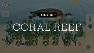 Coral Reef by Tinybop app trailer [upl. by Aztirak]