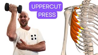 Uppercut press  Serratus Press exercise for shoulder health [upl. by Lorene]