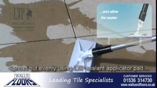 How To Fix And Seal Limestone Tiles [upl. by Arratoon453]