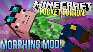 Minecraft Pocket Edition  MORPHING MOD  Mod Showcase [upl. by Alysa536]