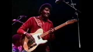 Albert Collins  Cold Cold Feeling 1981 [upl. by Wilfreda]