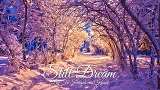 Still Dream • Fé Fidessa • Cover [upl. by Godrich]