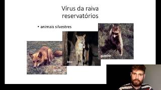 Virologia  Vírus da Raiva [upl. by Ellinet551]