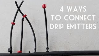 Desert Gardening Basics How to Install Drip Emitters [upl. by Otter291]