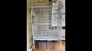 Prevue F030 Aviary  Flight Cage Review [upl. by Genni]