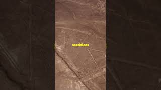 We Found New Nazca Lines Using AI [upl. by Susann]