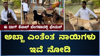 Famous Dog Kennel In Bangalore  KCI Certified Dog Kennel In Bangalore [upl. by Vite707]