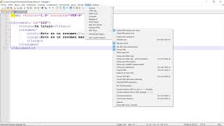 XML Validar con XML Schema en Notepad [upl. by Hak698]