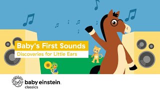 Babys First Sounds  More Baby Einstein Classics  Learning Show for Toddlers  Kids Cartoons [upl. by Orfurd]