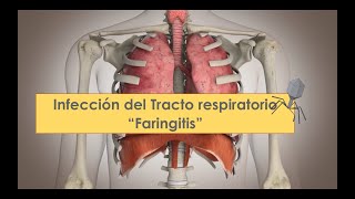 Microbiologia FARINGITIS [upl. by Flemings990]