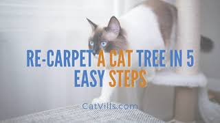 HOW TO RECARPET A SHREDDED CAT POST [upl. by Genesia451]