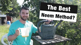 Easiest Way to Use Neem Oil  The Problems with Spraying  Neem Oil RootSoil Drench [upl. by Einnek]