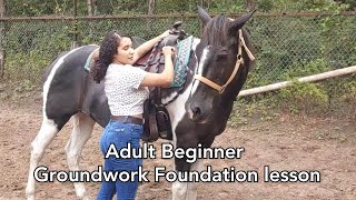 Adult Beginner Horse Riding Lesson  Groundwork  Moving the Horses zones [upl. by Vernier]