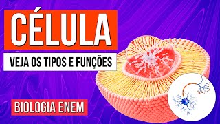 CÉLULA O que é Funções Tipos e Estrutura básica das Células  Biologia Enem Profe Claudia Aguiar [upl. by Naujak]