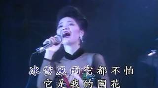 鄧麗君  梅花 1984 HD Teresa Teng  Mei Hua with Pinyin Lyrics [upl. by Negeam]