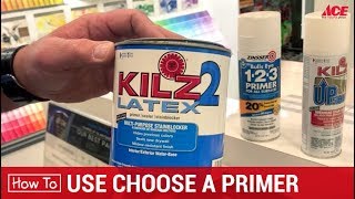 How To Choose A Paint Primer  Ace Hardware [upl. by Norward]