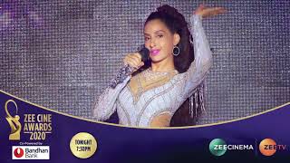 Zee Cine Awards 2020 [upl. by Yort]