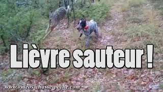 Lièvre sauteur  Incroyable [upl. by Nitsyrk414]