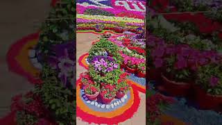 Mashallah beautiful Flowers design in flower show [upl. by Aland]