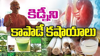 లక్షణాలు కనిపిస్తే కషాయాలతో కాపాడుకోండి  Kidney Health  DrKhaderVali [upl. by Yrrehc]