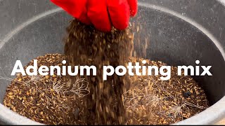 Adenium potting mix [upl. by Gnehp]