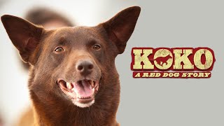 Koko A Red Dog Story  Full Movie  WATCH FOR FREE [upl. by Annoj]