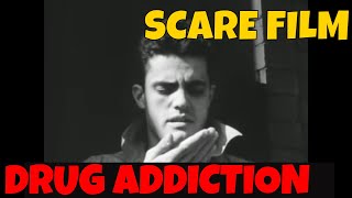 quot DRUG ADDICTION quot CLASSIC 1951 DRUG USE SCARE FILM XD12644a [upl. by Terrilyn]