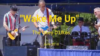 The Ukey Dukes  Wake me up [upl. by Julianna631]