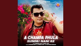 A chapa phula sundri nani re Sambalpuri songold sambalpuri song [upl. by Chap818]