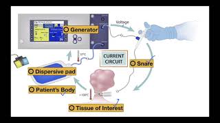 Zoom Class 11  Electrosurgery for trainees techs and nurses [upl. by Lehcear]