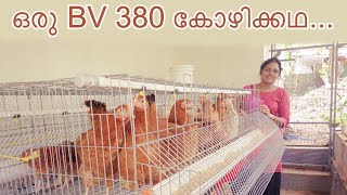 ഒരു BV 380 കോഴിക്കഥHow to do BV380 Hen Farming [upl. by Carlye]