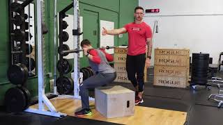 How To Perform The Wide Stance Box Squat [upl. by Aelram460]